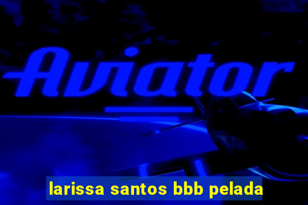 larissa santos bbb pelada